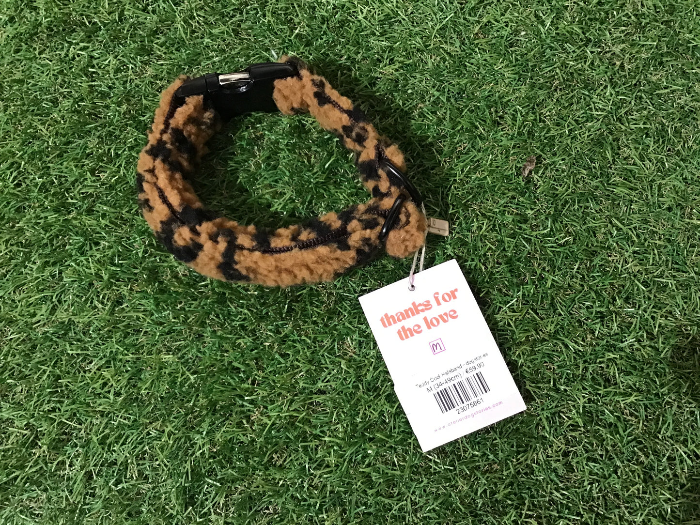 Teddy Cool Halsband - dogstories