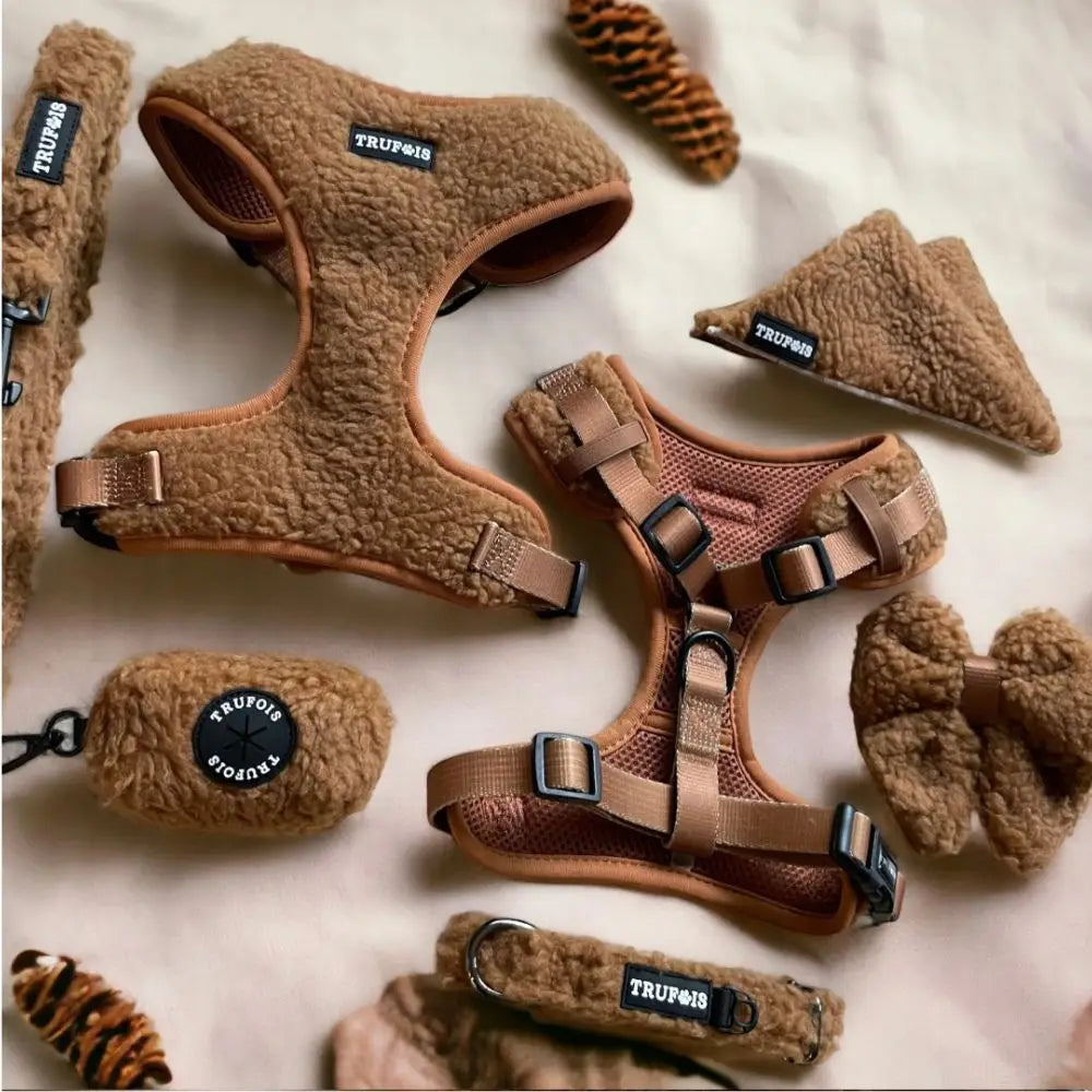 Teddy Chocolate Harness
