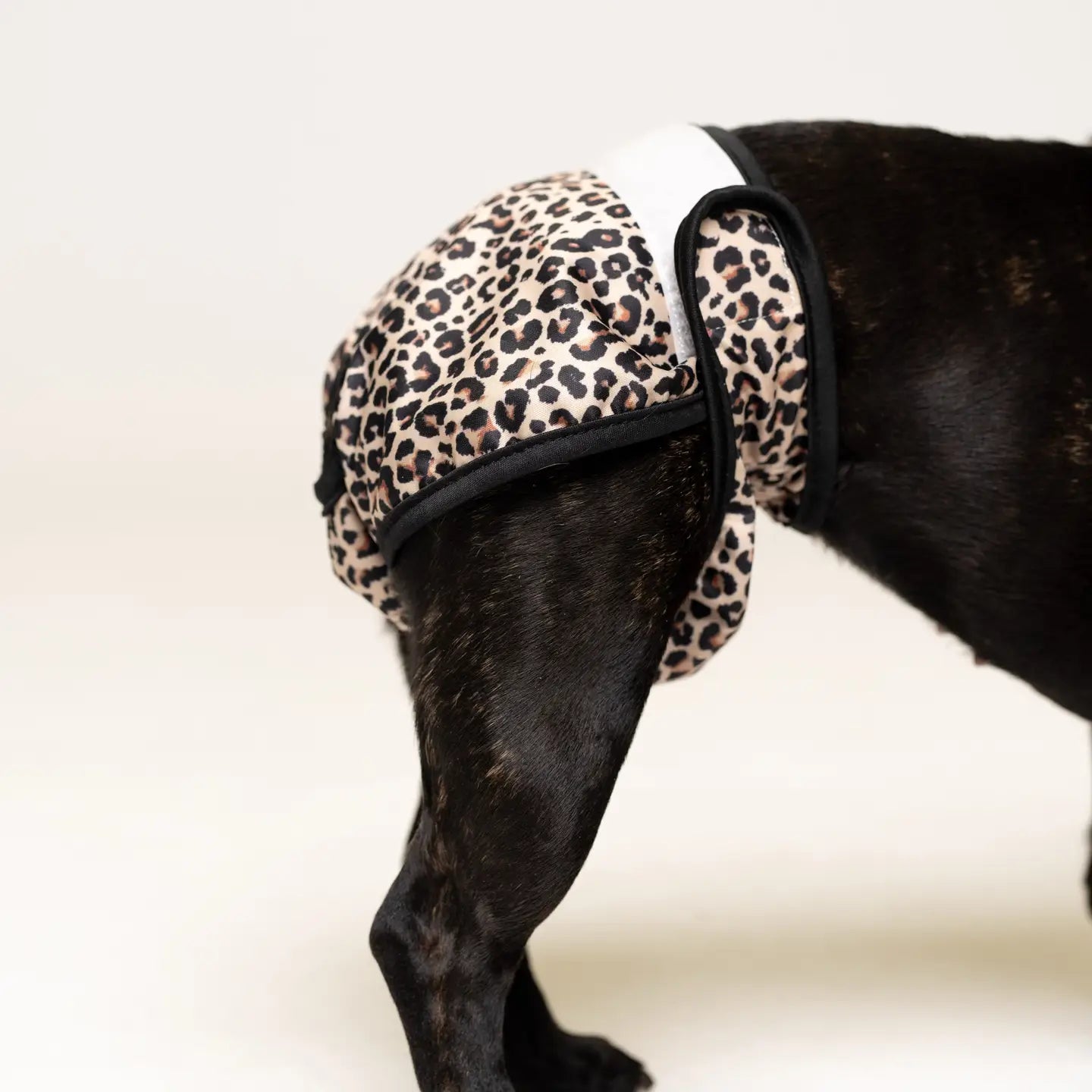 Dog Period Pants- Leopard