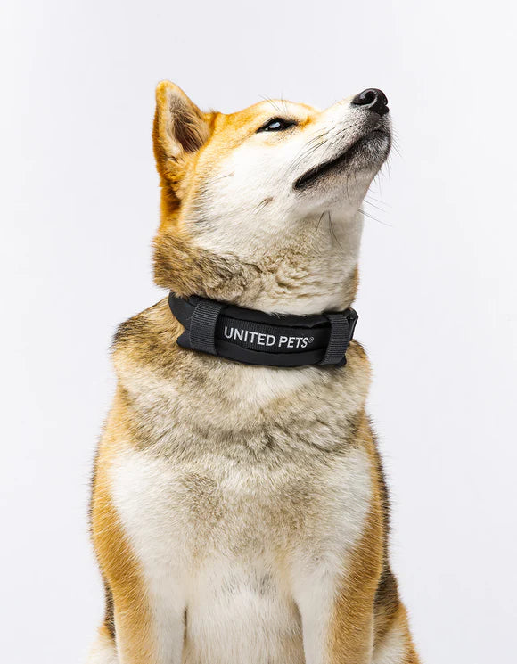 City Life Halsband - anthrazit