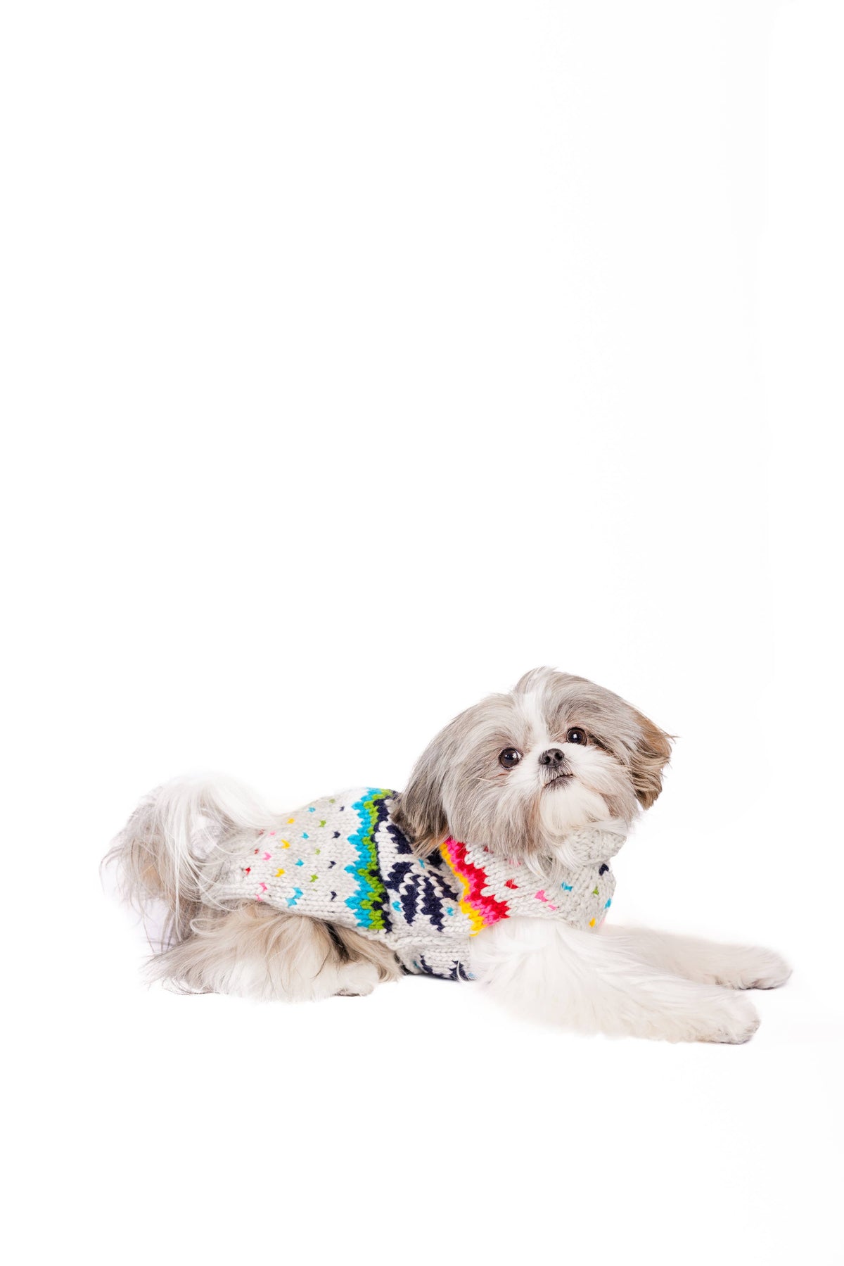 Regenbogen Schneeflocken - Hundepullover