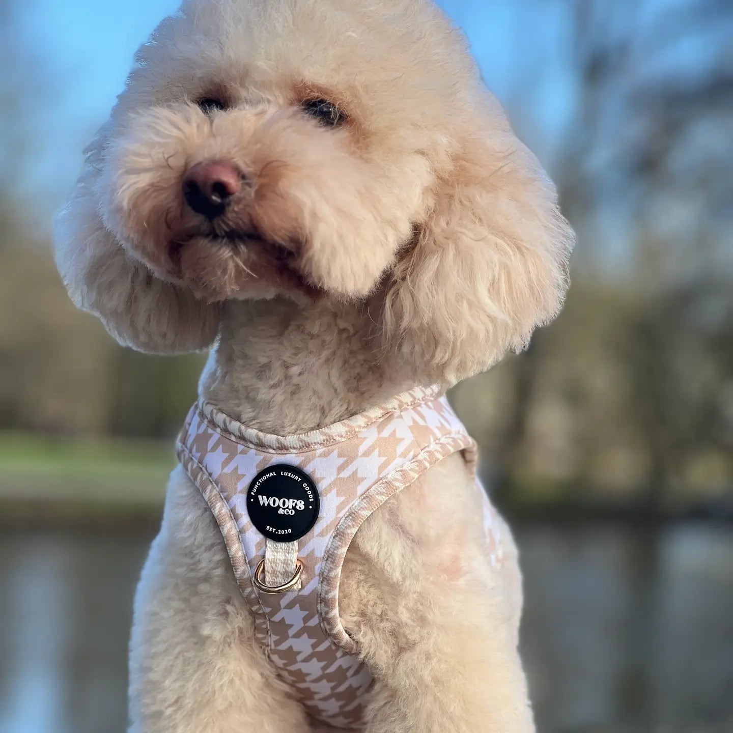 Hundegeschirr- Hahnentritt Beige