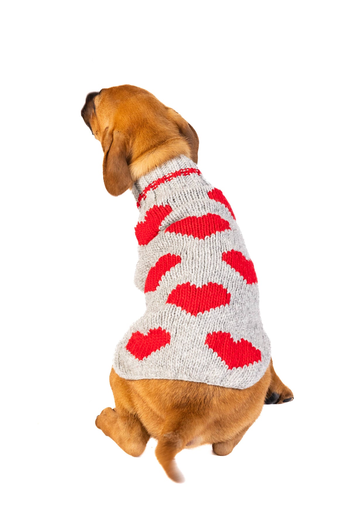 rote Herzen - Hundepullover
