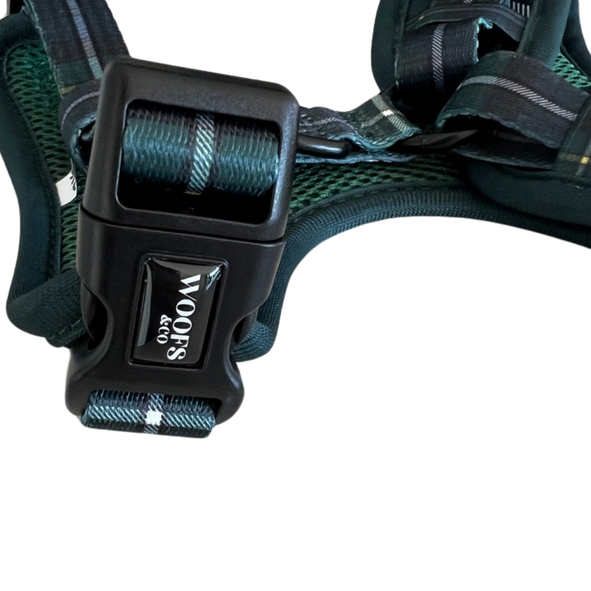 Geschirr Tartan Blue/Green