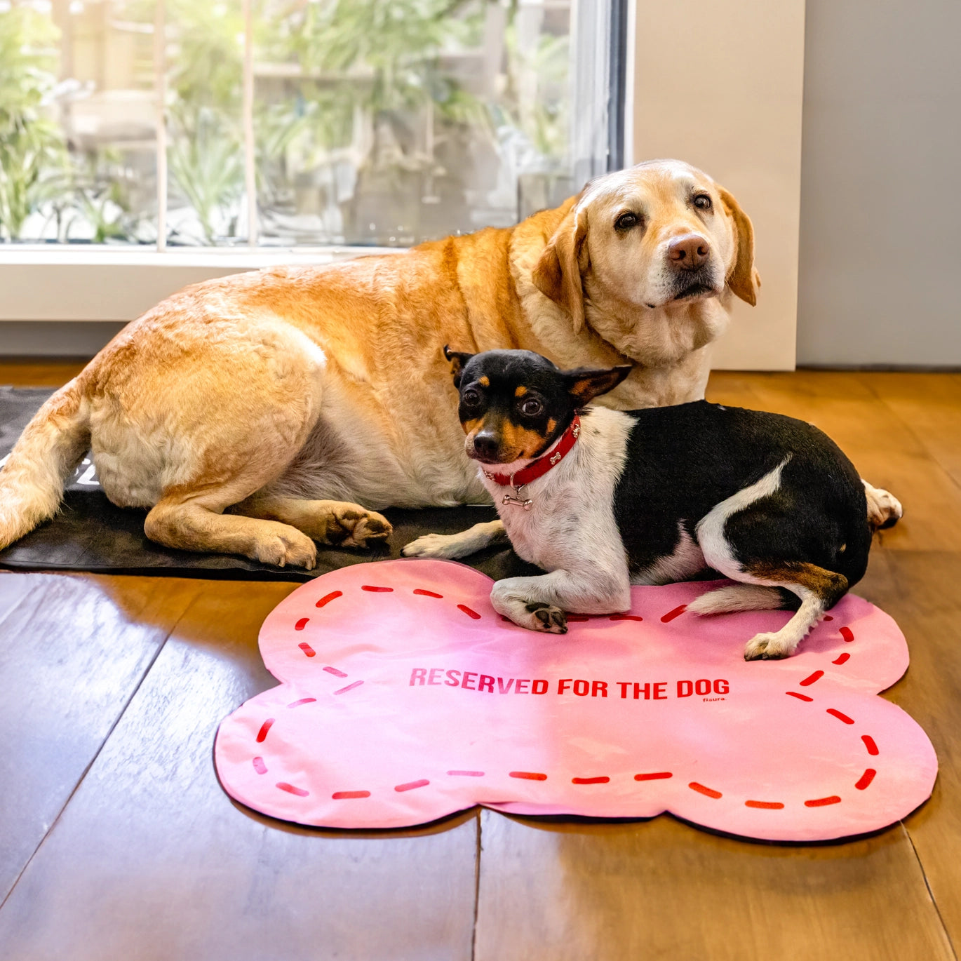 Pet Mat - Reserved for the Dog