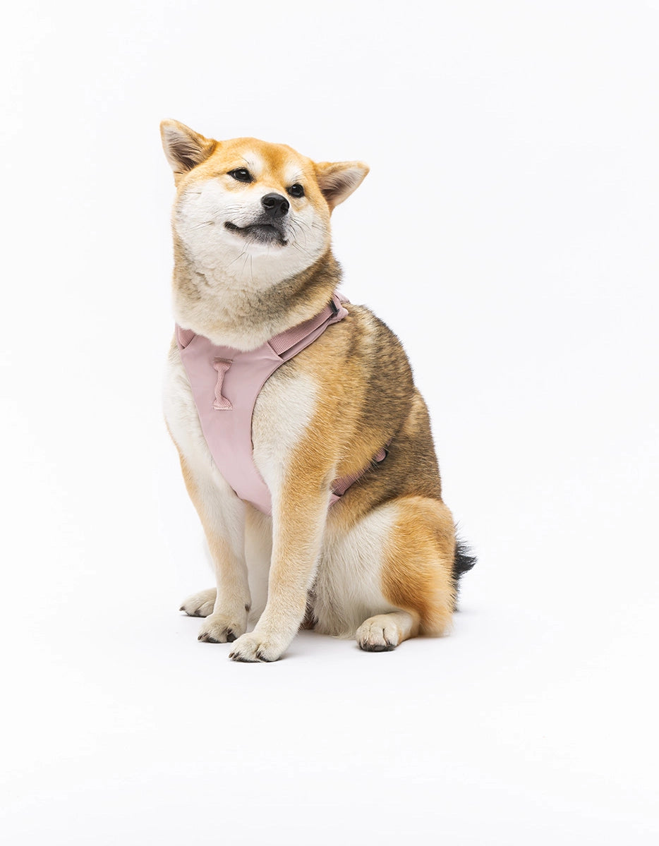 City Life Geschirr – rosa