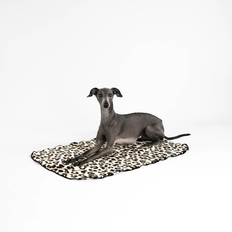 Kuscheldecke Leo