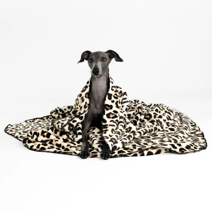 Kuscheldecke Leo