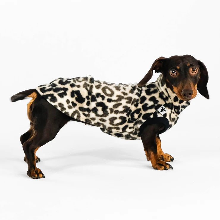 Long Shirt für Dackel - LEO FLEECE