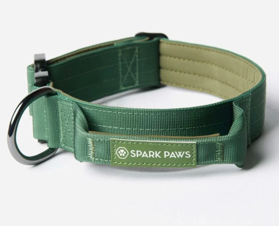 Comfort & Control Halsband grün – Sparkpaws