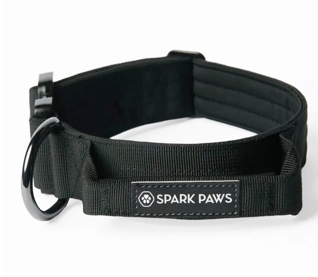 Comfort & Control Halsband schwarz – Sparkpaws