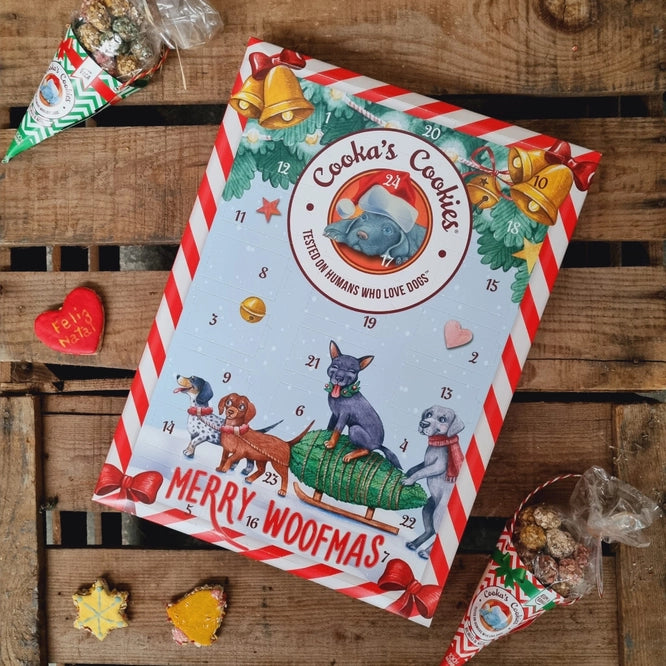 Adventskalender für Hunde