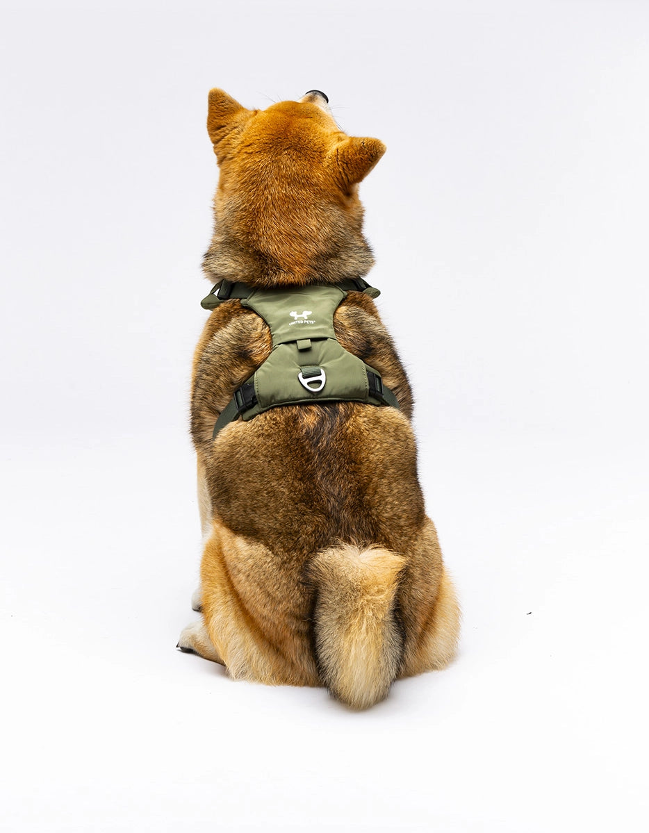 City Life Geschirr – khaki