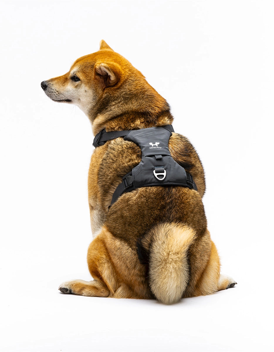 City Life Geschirr – anthrazit