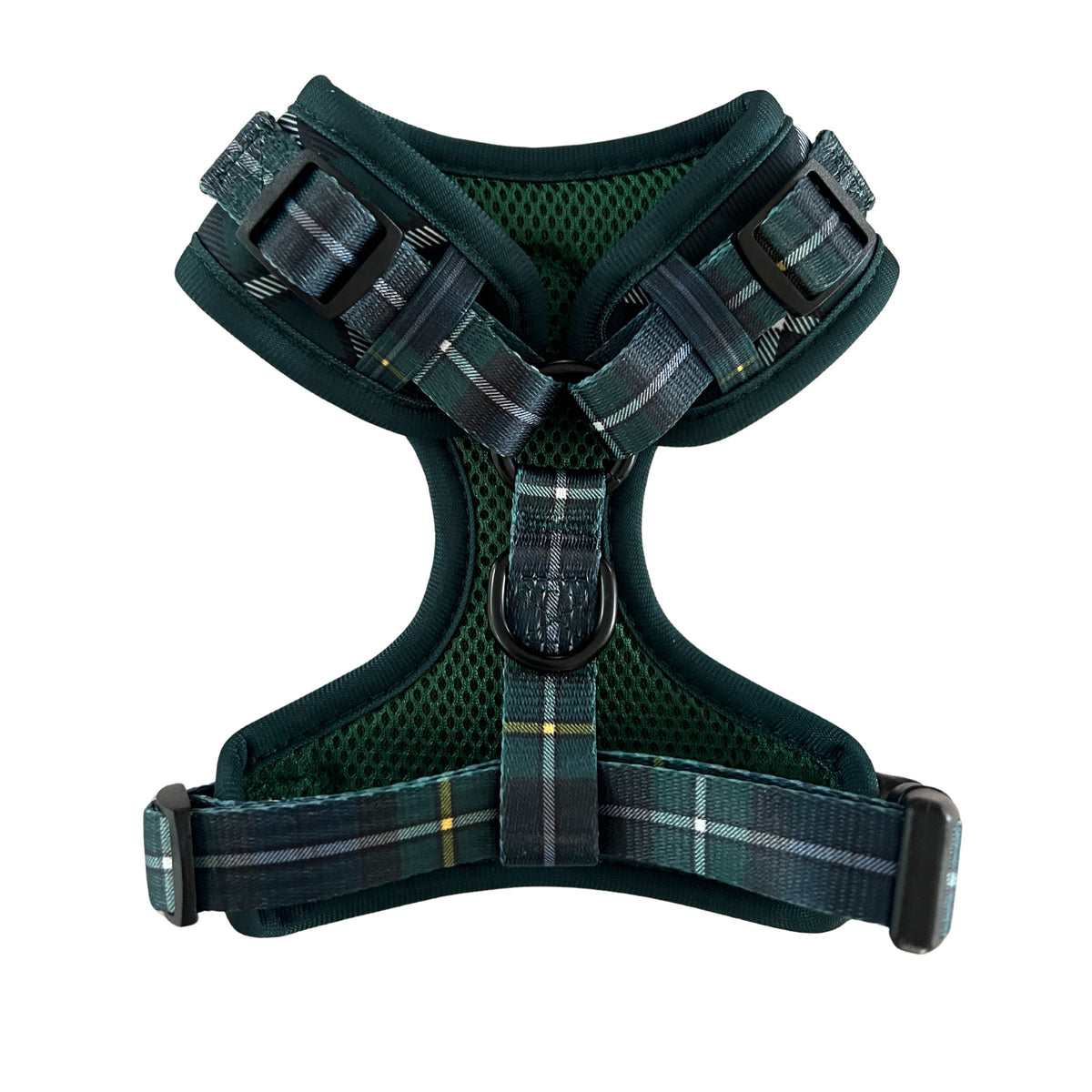Geschirr Tartan Blue/Green