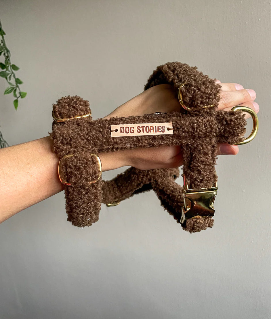 Geschirr Teddy - braun