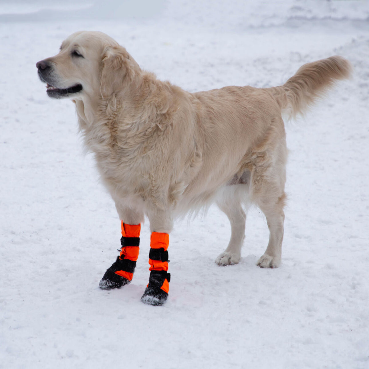 Winter Booties Sulo