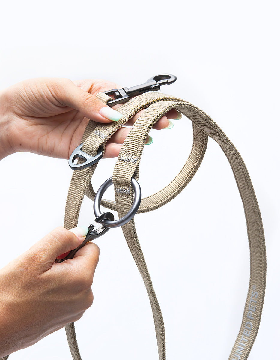CITY LIFE - Training Leash beige