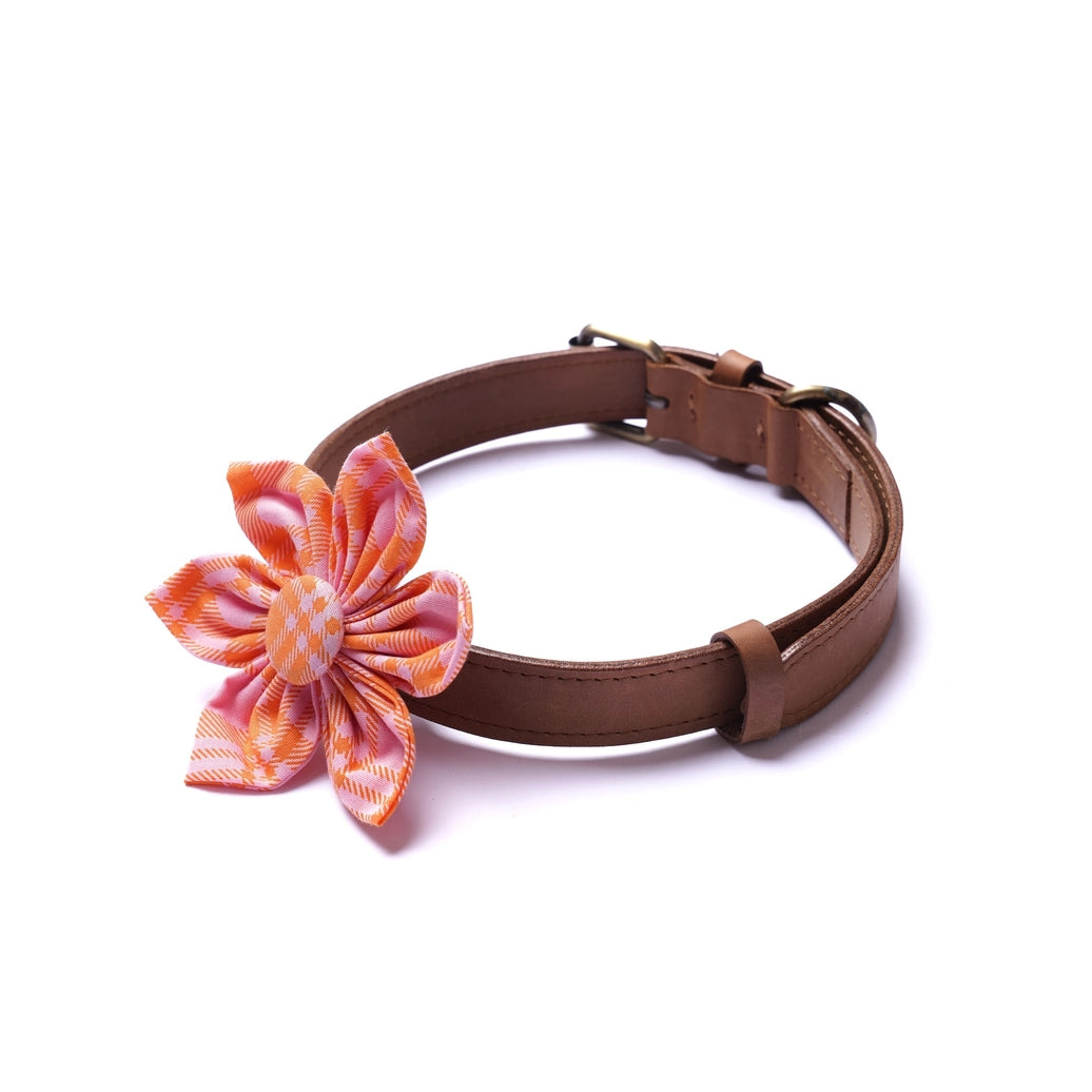 Collar Flower Stevie - The Paws
