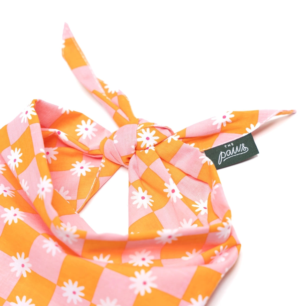 Hula Dog Bandana | Hundehalstuch mit Gänseblümchen - the paws