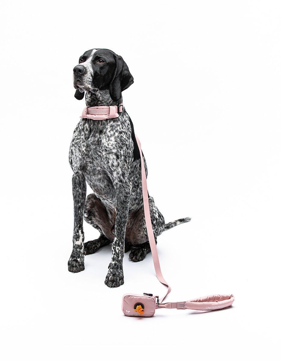 CITY LIFE - Soft Leash - rosa
