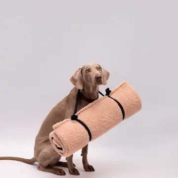 Reisedecke Teddy