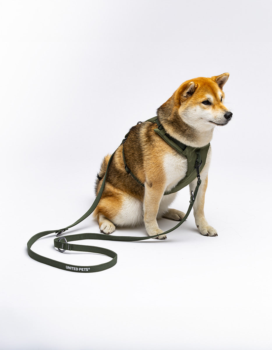 CITY LIFE - Training Leash khaki