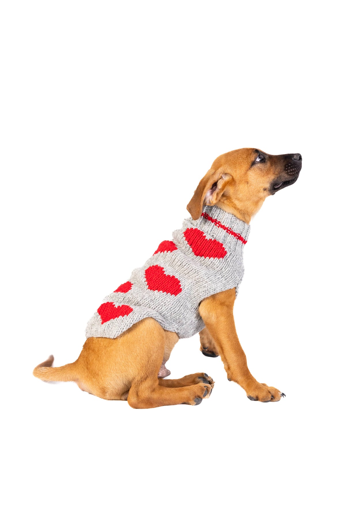 rote Herzen - Hundepullover