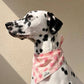 Miss Muffy Dog Bandana