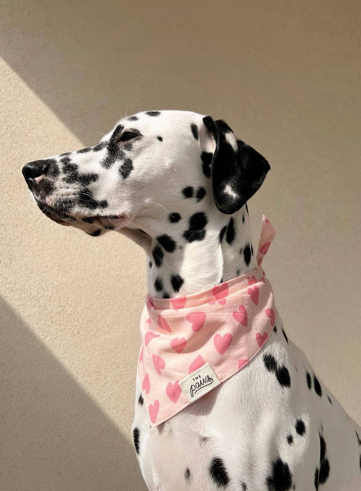 Miss Muffy Dog Bandana