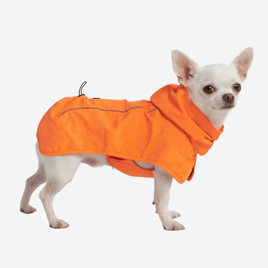 Regenmantel für Bullys - Spark Paws
