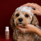 Extra Sensitive Puppy Shampoo - Gentle & Mild Coat Care | 50 ml