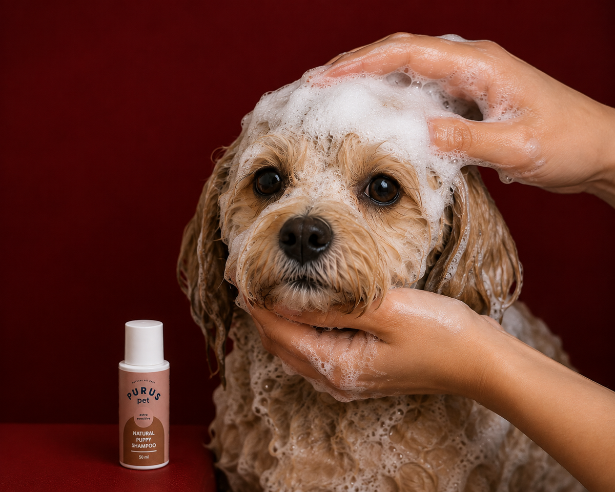 Extra Sensitive Puppy Shampoo - Gentle & Mild Coat Care | 50 ml
