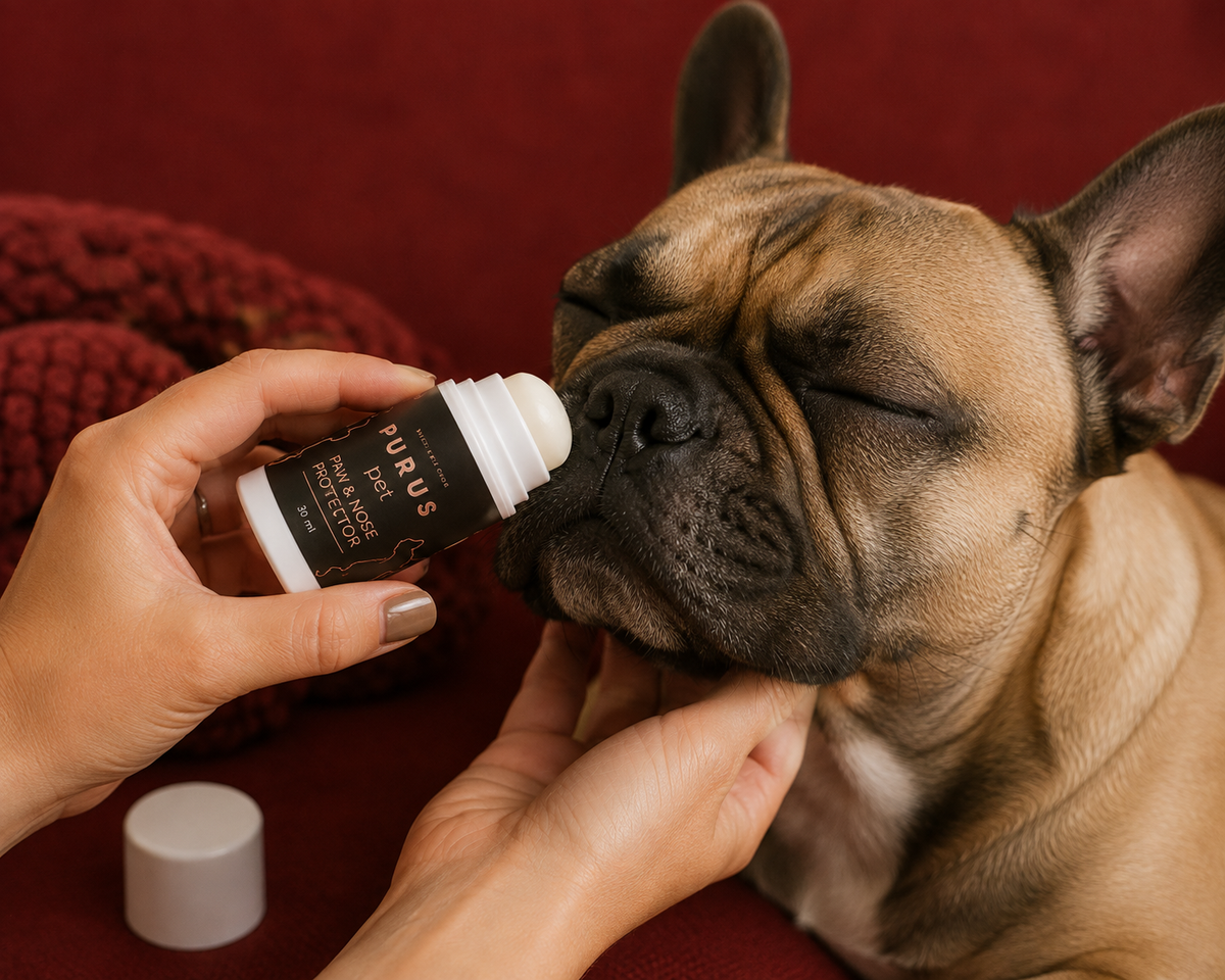 Natural Paw & Nose Balm Stick for Dogs – Moisturizing & Protective Care | 30 ml