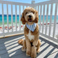 Cabana Blue Stripes  Dog Bandana