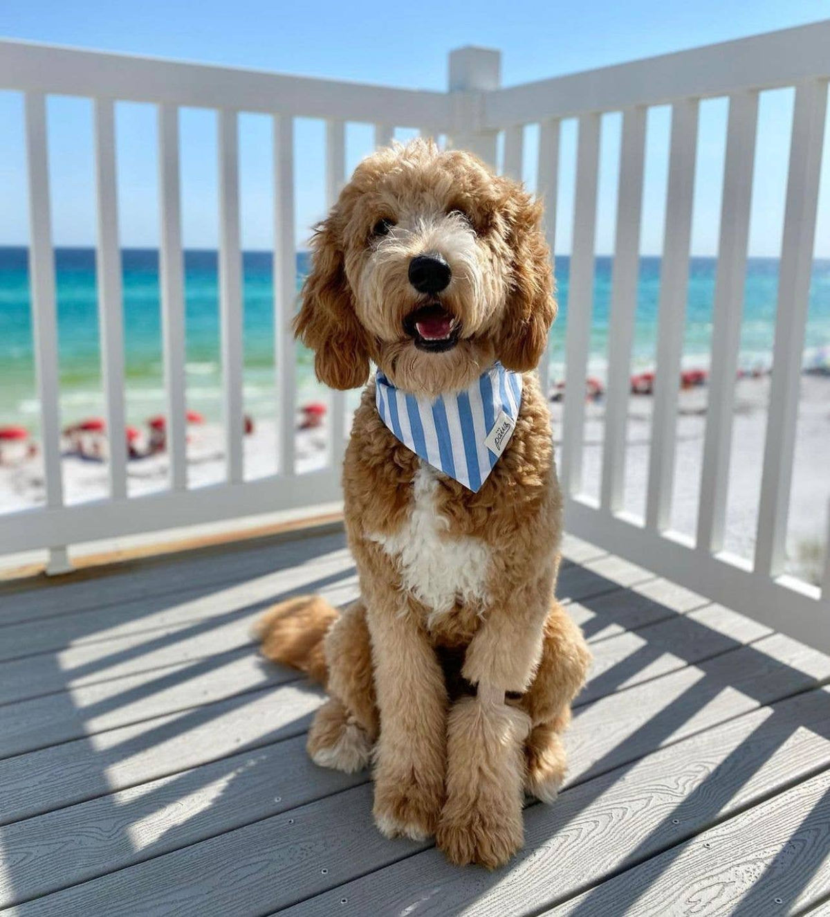 Cabana Blue Stripes  Dog Bandana