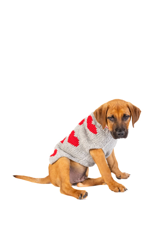 rote Herzen - Hundepullover