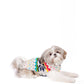 Regenbogen Schneeflocken - Hundepullover