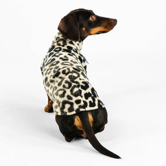 Long Shirt für Dackel - LEO FLEECE