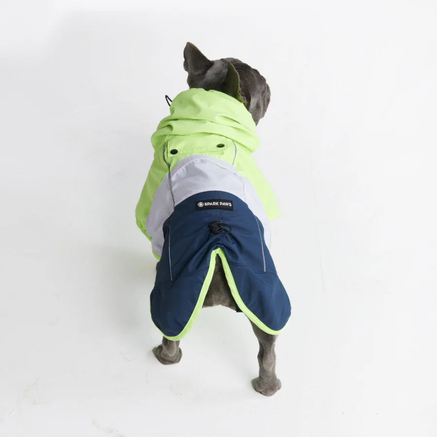 Regenmantel für Bullys - Spark Paws