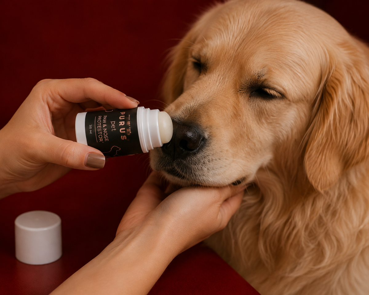 Natural Paw & Nose Balm Stick for Dogs – Moisturizing & Protective Care | 30 ml