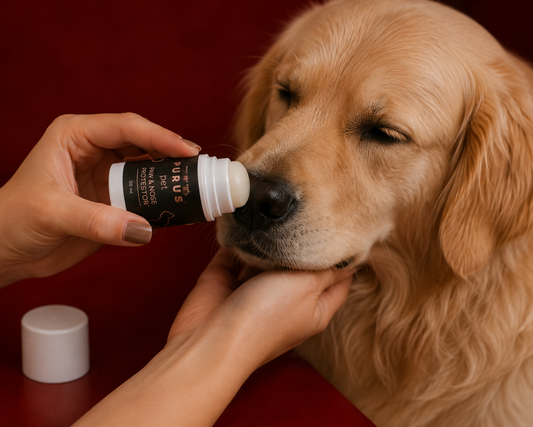 Natural Paw & Nose Balm Stick for Dogs – Moisturizing & Protective Care | 30 ml