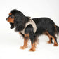 Step-in Hundegeschirr mocca