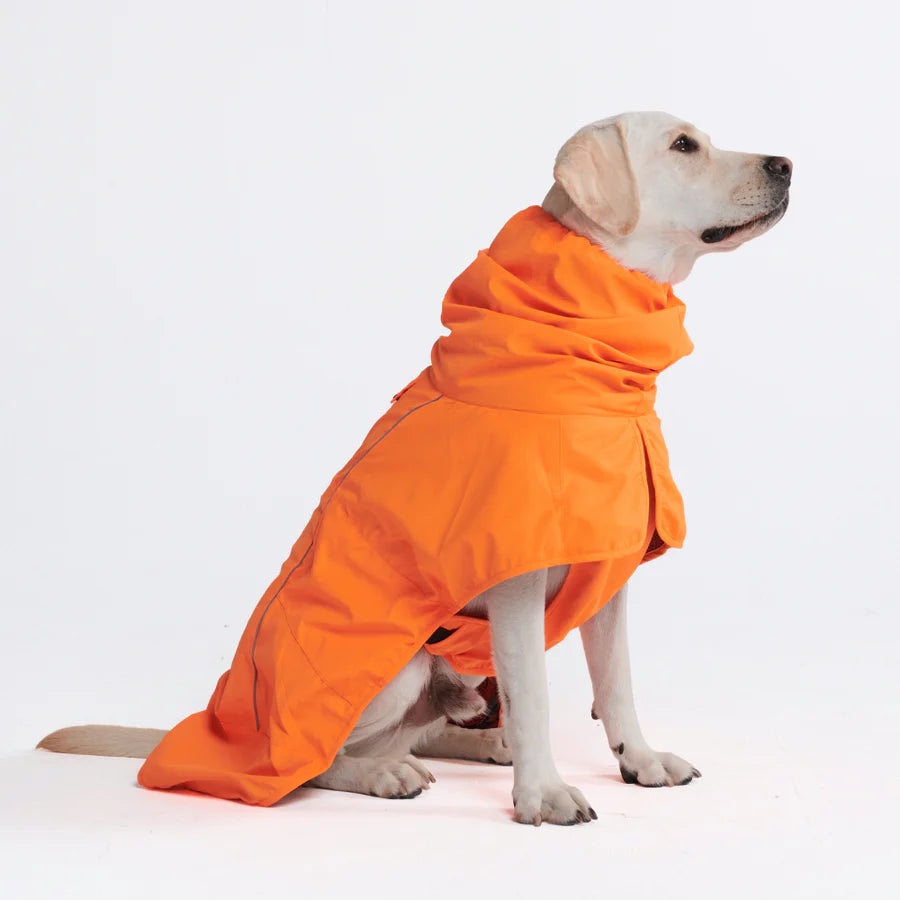 Regenmantel für Bullys - Spark Paws
