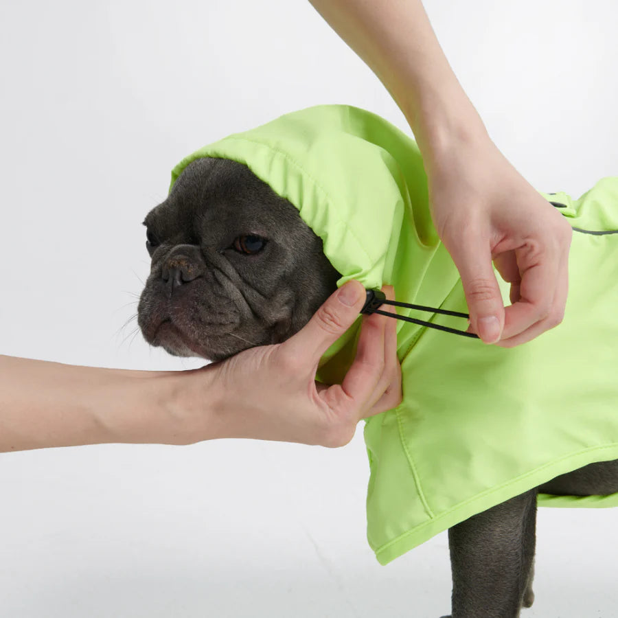 Regenmantel für Bullys - Spark Paws