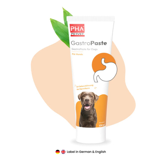 Gastro Paste