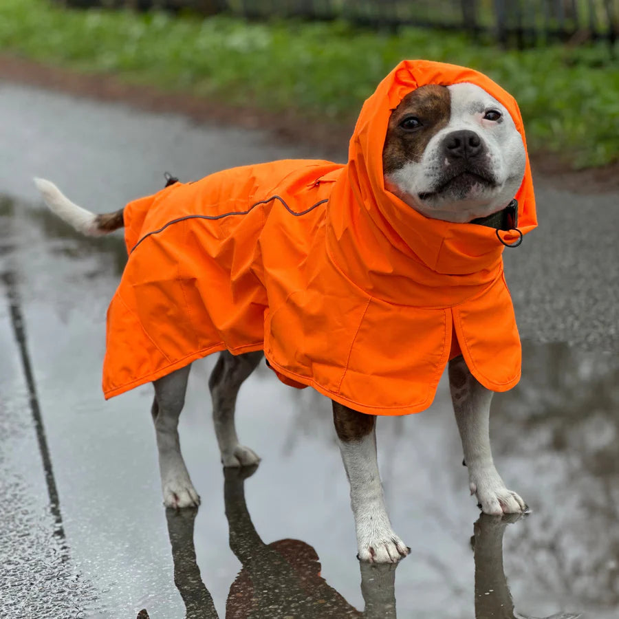 Regenmantel für Bullys - Spark Paws