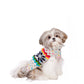 Regenbogen Schneeflocken - Hundepullover