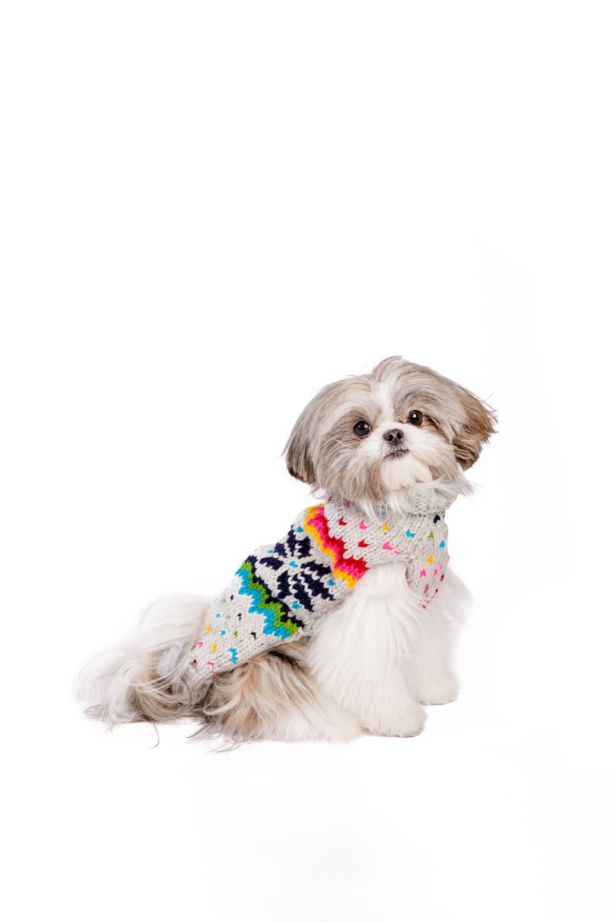 Regenbogen Schneeflocken - Hundepullover