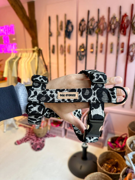SAFARI BLACK Harness